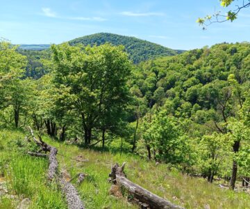 Vzpomínka na květen 🌸