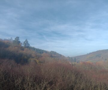 Descartes u Rakovníka