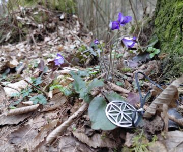 Věčný koloběh roku