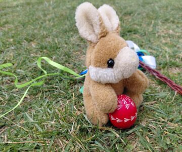 Zajíc srdce udatného 🪺